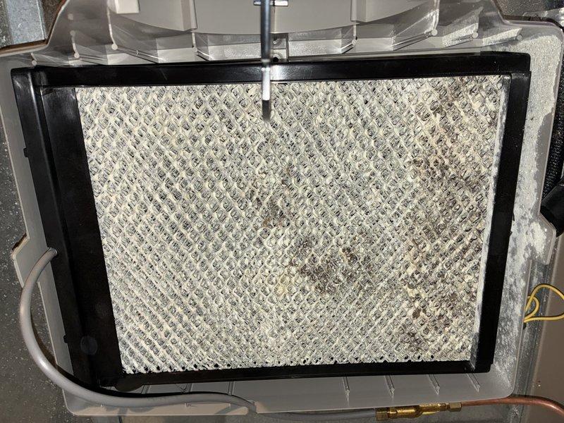 Performed complimentary air conditioning tune-up on system of unknown age. Inspected ductwork to assess cleaning needs and found standard accumulation of dust and debris throughout accessible sections. Examined air filter which showed moderate soiling with dark spots and staining across mesh surface, indicating normal use and particle capture. Removed access panels to inspect internal HVAC components including blower motor assembly, gas valve manifold, control box, and electrical connections. Verified all wiring connections were secure with proper routing of power and control wires. Confirmed blower motors and fan assemblies were operational with no unusual wear or noise detected. All system components appeared to be functioning within normal parameters at time of inspection.