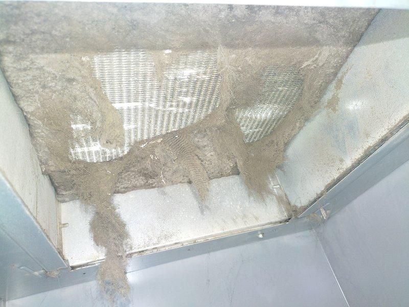 Responded to no cooling complaint with ice formation on outdoor unit and refrigerant lines. Upon inspection, identified frozen evaporator coil in air handler due to severely restricted airflow caused by deteriorated ductwork and damaged return air plenum showing significant moisture damage and material degradation. Documented extensive water damage, mold growth, and compromised insulation materials affecting system performance. Recommended immediate duct repair and air handler plenum restoration to restore proper airflow and prevent further system damage.