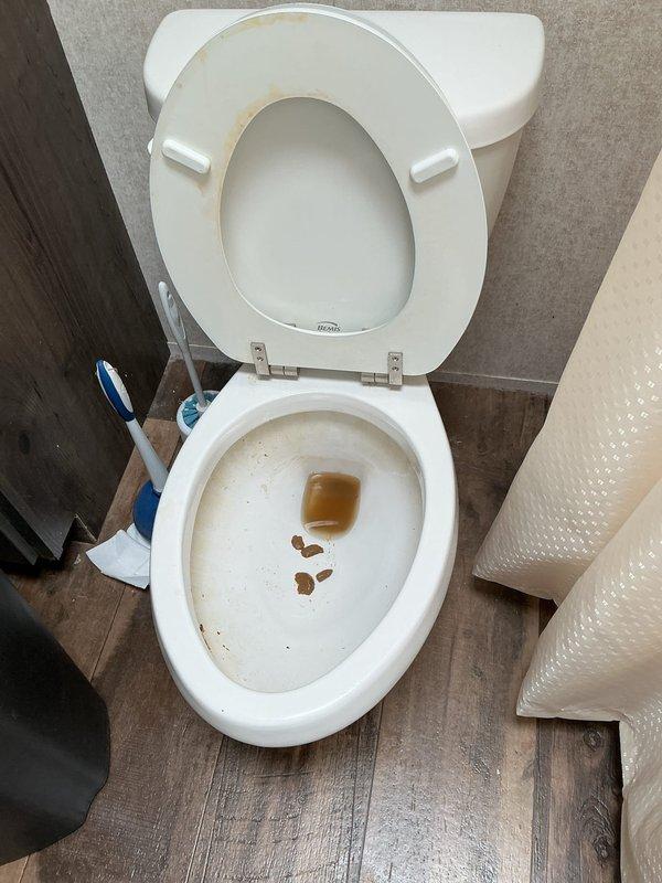 Responded to a toilet backing up in a mobile home. Upon arrival, inspected the toilet and found signs of waste material and staining in the bowl. Removed the tank lid to assess internal components and check for any mechanical issues affecting flush performance. Observed mineral buildup and sediment deposits in the tank, along with water staining on internal components. The fill valve, flush valve, float mechanism, and overflow tube were all examined and found to be functional. Addressed the backup issue through standard clearing procedures to restore proper drainage and flushing operation.