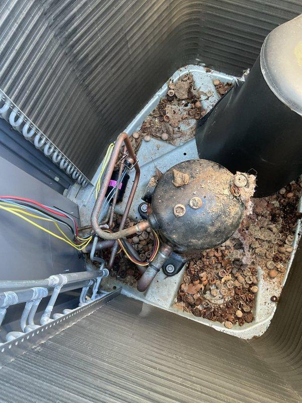 Responded to no-cooling complaint on five-year-old Aprilaire 2410 system. Upon arrival, confirmed condenser fan motor operating but discharge air temperature abnormally cool, indicating compressor failure. Diagnosed failed compressor with severely corroded housing and deteriorated internal components. Replaced defective dual-capacitor and compressor unit. Evacuated system, pressure tested for leaks, and recharged with proper refrigerant specification. Verified proper amperage draw, superheat, and subcooling values. System restored to full cooling operation with normal temperature differential across evaporator coil.