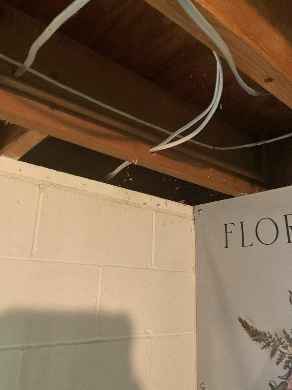 Completed electrical wiring installation for new septic system in basement utility area. Routed necessary electrical circuits through exposed ceiling joists to support septic system operation, with no additional parts required for the installation.