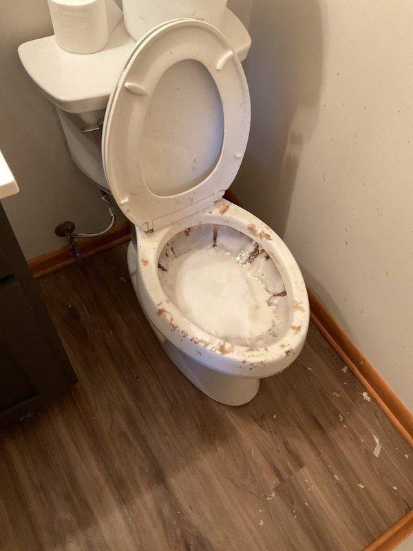 Responded to a recurring drain backup issue affecting the basement main drain line and half bathroom fixtures. Upon arrival, confirmed standing water and slow drainage in the basement bathroom sink and toilet. Performed drain cleaning service using appropriate equipment to clear the blockage from the main line. Tested all affected fixtures to verify proper drainage and flow restoration. System returned to normal operation with no further backup observed.