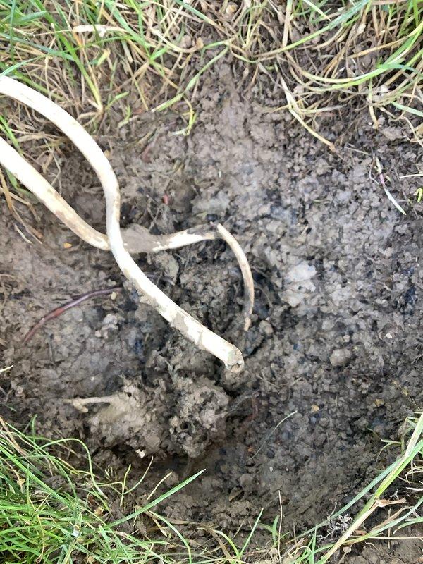 Replaced three customer-supplied post lights that were causing breaker trips due to damaged underground wiring from a fallen post. Excavated existing posts, inspected and repaired damaged wiring, installed PVC conduit for wire protection, and cemented new posts into place. All fixtures were tested and confirmed operational upon completion.