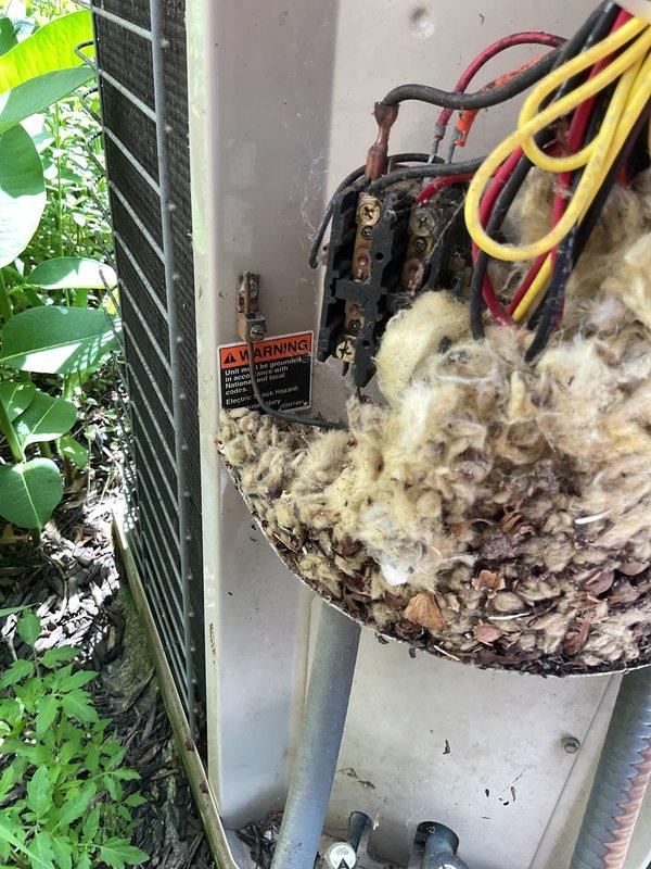 Completed annual tune-up on 29-year-old air conditioning system. Discovered and removed significant animal nesting material from electrical compartment of outdoor condensing unit, which posed serious fire hazard and could have prevented proper system operation. Inspected electrical connections, contactor, and wiring for damage; noted corrosion on contactor terminals requiring monitoring for future replacement.