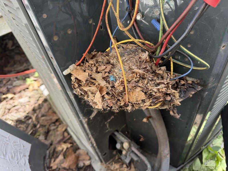 Completed MVP recurring cooling maintenance visit on 14-year-old system. Discovered significant accumulation of leaves and organic debris inside outdoor unit electrical panel, creating potential fire hazard among wiring. Removed all debris from panel interior and inspected wiring for damage. Cleaned interior ductwork surfaces showing dust accumulation and verified proper airflow through system. Documented conditions with photos for service records.
