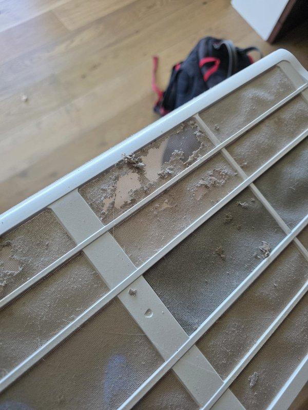 Performed repair and maintenance service on a 2-year-old Bryant mini split system. Removed and cleaned heavily soiled air filter grill showing significant dust, debris, and lint accumulation. Accessed and inspected evaporator coil assembly, which exhibited substantial buildup of dirt, dust, and foamy residue along the lower fin sections. Cleaned coil surfaces to restore proper airflow and heat transfer efficiency, removing accumulated particulates that were restricting system performance.