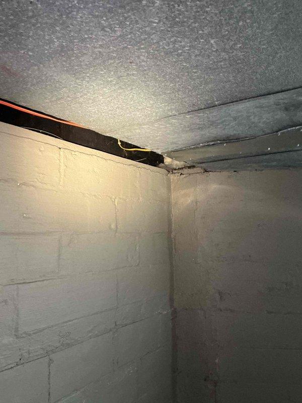 Conducted site assessment for outdoor pool lighting installation. Evaluated backyard area and existing electrical infrastructure in basement utility space to determine routing requirements and feasibility for new exterior lighting circuit. Provided comprehensive quote for materials and labor to complete installation.
