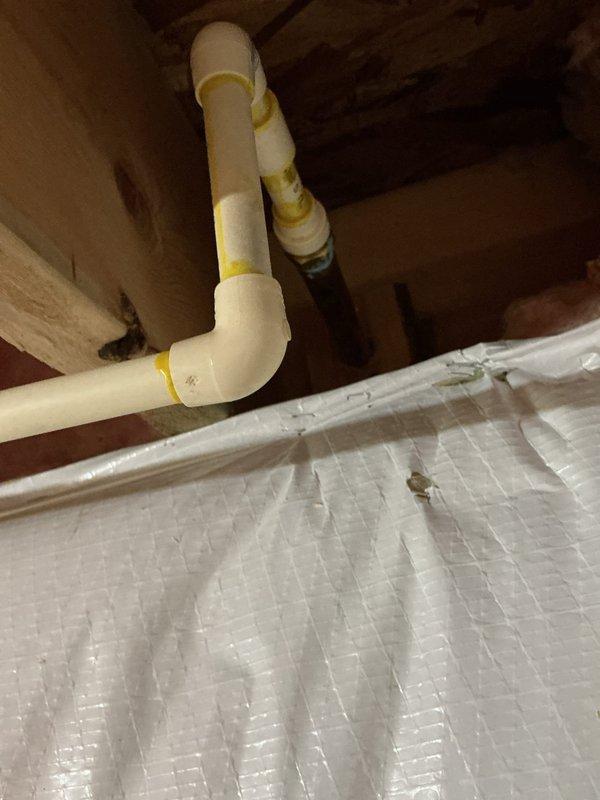 Performed flush and fill service on 17-year-old natural gas tanked water heater per promotional coupon request. Identified and replaced leaking copper pipe section during inspection. Water heater system includes properly installed expansion tank, copper supply lines with brass fittings, yellow gas line, and appropriate safety valves. All connections tested for leaks and system returned to normal operation.