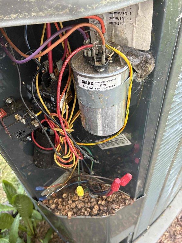 Completed routine MVP cooling maintenance visit on HVAC system. Performed comprehensive inspection of outdoor condensing unit and indoor air handler components. Inspected MARS 370VAC dual-run capacitor for proper operation and connections, verified all electrical terminations at capacitor terminals with multiple wire connections secure and properly seated. Examined control box wiring harness including 120V igniter circuit, confirmed all multicolored wire bundles properly routed and secured with cable ties. Assessed condition of electronic control boards, contactors, and relay components for signs of wear or failure. Verified refrigerant line connections and copper tubing integrity at equipment base. Noted normal accumulation of environmental debris in outdoor unit, consistent with exterior installation. All electrical components functioning within normal parameters, no immediate repairs required. System operational and ready for continued service.