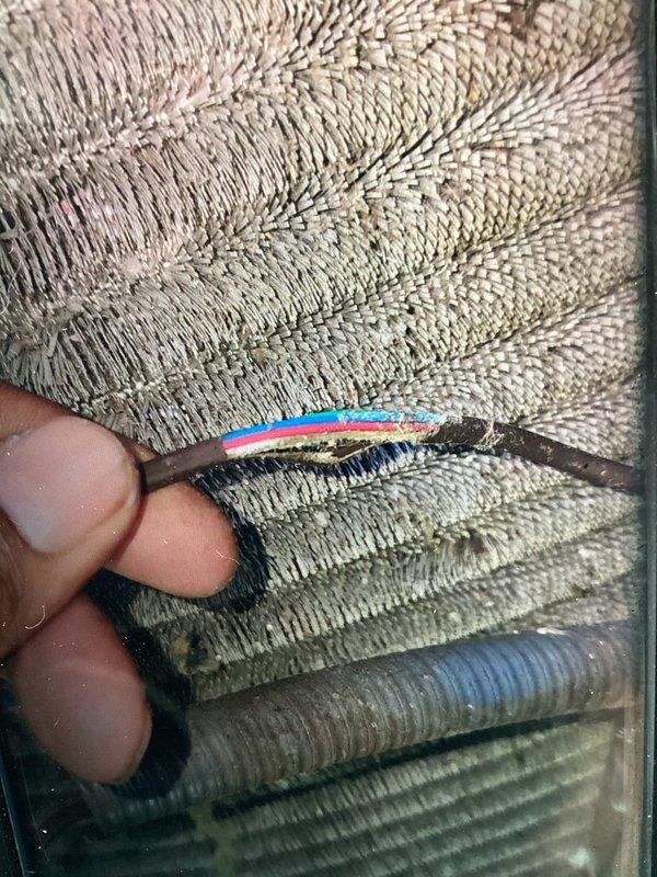 Responded to no cooling complaint on 10-year-old air conditioning system. Performed electrical diagnostics at outdoor unit using digital multimeter to verify proper voltage and component operation. Inspection revealed significantly dirty evaporator coil with heavy dust and debris accumulation restricting airflow. The contaminated coil condition was identified as primary cause of reduced cooling capacity and system performance issues.
