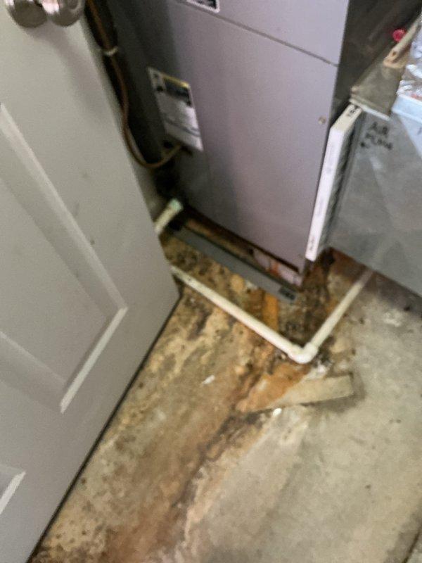 Responded to service call for toilet seat replacement and operational inspection. Replaced two toilet seats and performed functional testing of toilet mechanisms to ensure proper flushing, fill valve operation, and shut-off functionality. All toilets confirmed to be operating within normal parameters upon completion of work.