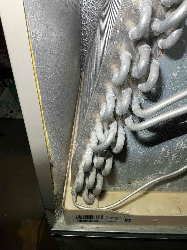 Completed scheduled MVP cooling maintenance visit on 6-year-old Lennox condensing unit and associated air handler system. Performed comprehensive system inspection including examination of evaporator coil assembly, refrigerant line connections, and condensate drain pan at indoor unit. Observed copper refrigerant tubes showing normal patina oxidation consistent with system age. Inspected outdoor condensing unit positioned on concrete pad, noting accumulation of debris on fan grille which was cleared to ensure proper airflow. Verified electrical disconnect box and conduit connections at exterior installation. System operational and functioning within normal parameters upon completion of maintenance protocol.