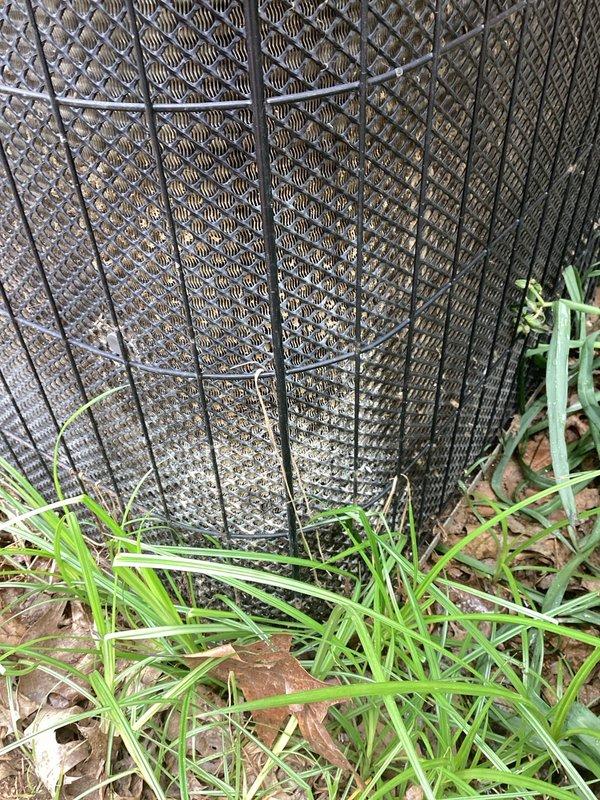 Responded to service call for non-operational condenser fan motor. Upon inspection, found outdoor AC unit with significant debris accumulation and weathered components. Diagnosed fan motor failure, replaced defective motor assembly, cleaned condenser coil and surrounding area of leaves and debris, verified proper airflow through unit, and tested system operation to confirm cooling cycle functioning correctly.