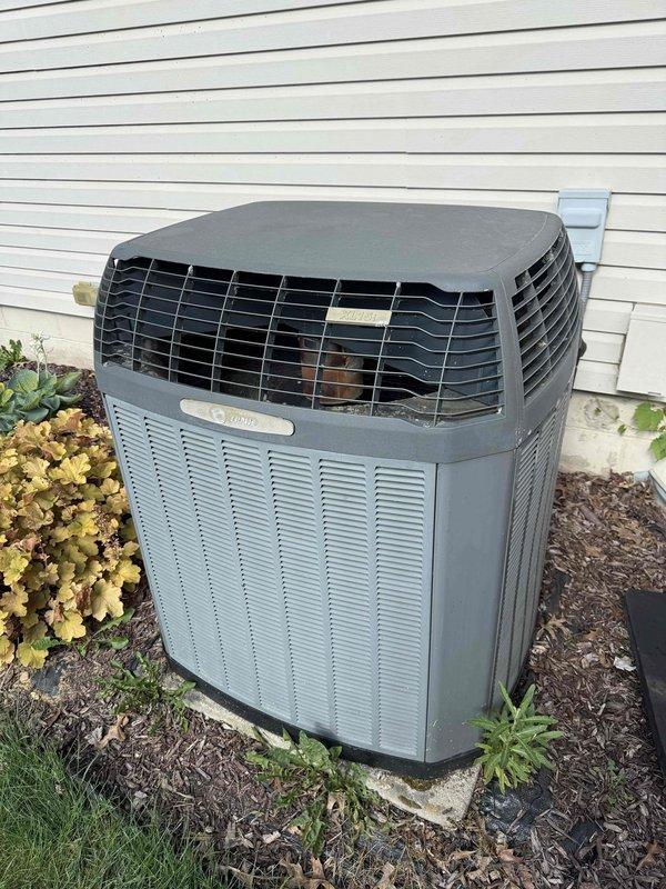 Completed scheduled MVP cooling maintenance visit on residential Trane air conditioning condenser unit. Performed visual inspection of outdoor unit, verified proper operation of fan assembly and louver system, and documented equipment condition with photographs showing unit in clean, well-maintained state with no visible defects or service needs identified.