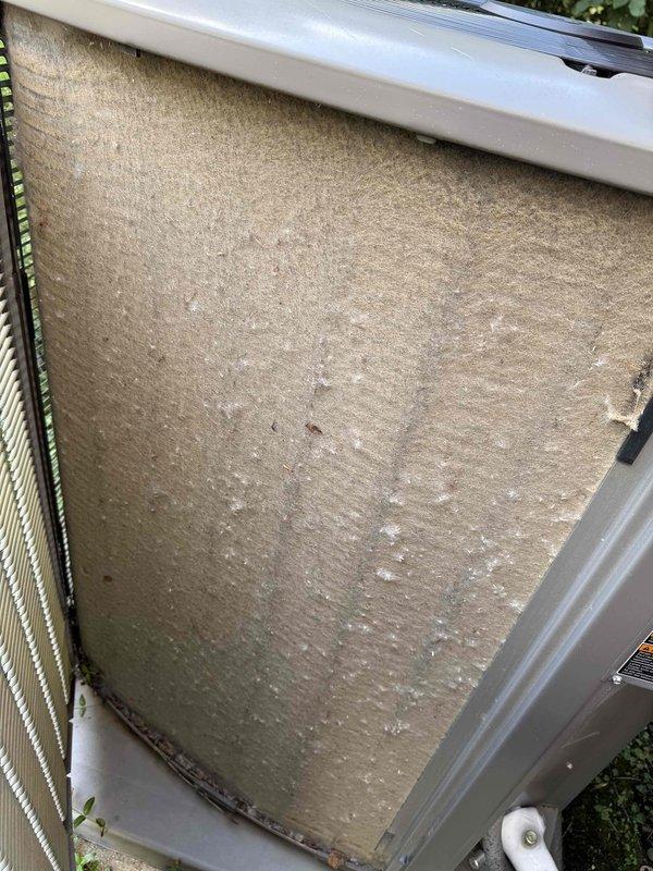Responded to no-cooling complaint for family room and master bedroom zones on 3-5 year old system. Upon inspection, found outdoor unit condenser coil heavily contaminated with dirt, debris, and organic matter buildup, severely restricting airflow and heat transfer capability. Filter media showed extreme soiling with significant dust accumulation and discoloration throughout. Cleaned condenser coil thoroughly, replaced dirty filter, and verified proper airflow restoration. System tested and confirmed operational with adequate cooling to affected zones.
