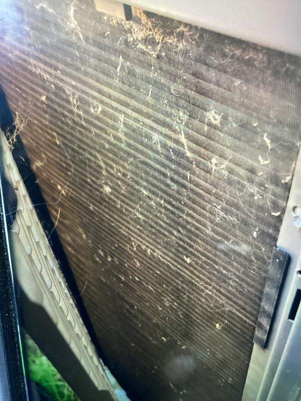 Responded to no cooling complaint on seven-year-old air conditioning system. Upon inspection, discovered evaporator coil heavily contaminated with dust, debris, and biological growth causing severely restricted airflow and reduced heat transfer efficiency. Temperature differential measurement confirmed inadequate cooling performance at 18.2°F. Documented coil condition with photos showing significant buildup particularly concentrated in upper sections of fin assembly, with visible mold and particulate matter throughout. Advised customer of findings and recommended thorough coil cleaning or replacement to restore proper system operation and cooling capacity.
