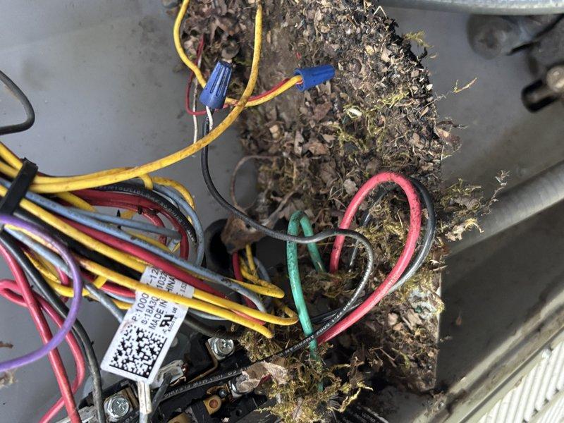 Responded to service call for 8-year-old air conditioning unit serving front zone of residence. Upon arrival, performed system inspection and discovered extensive organic debris accumulation within outdoor condensing unit, including dried grass, plant matter, and nesting materials that had infiltrated the electrical compartment and surrounding internal components. Removed top access panel to assess contamination level and found debris interfering with electrical connections and wire bundles. Thoroughly cleaned and removed all organic material from unit interior, including areas around contactor, wiring harness, and control components. Inspected all electrical connections and wire nuts for damage or deterioration caused by debris accumulation. Verified proper operation of contactor and electrical components after cleaning. Reinstalled access panel and confirmed unit operation. System restored to normal function with clear airflow pathways and unobstructed electrical components.