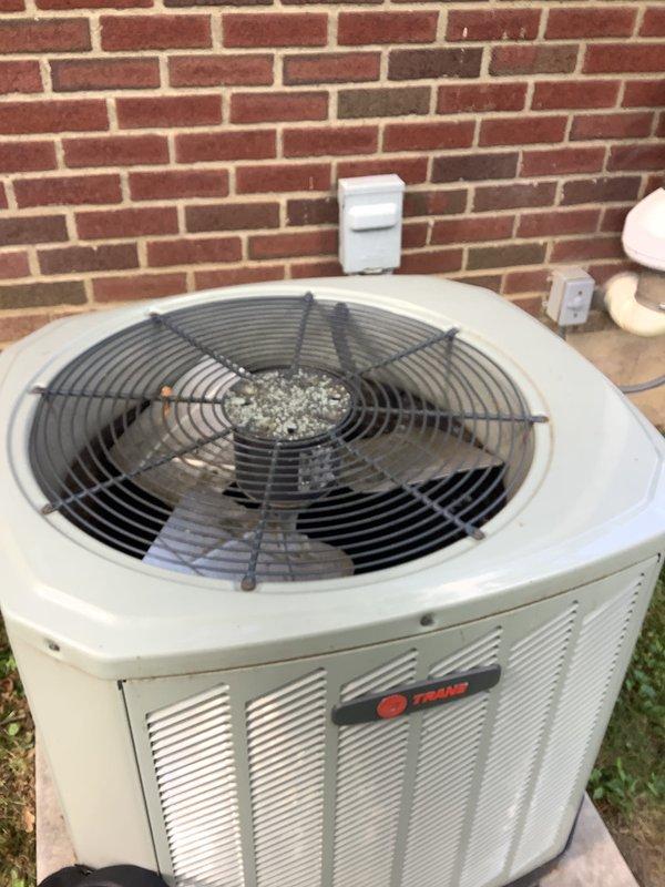 Conducted comprehensive assessment of existing Trane cylindrical outdoor condensing unit for replacement estimate. Unit showed significant debris accumulation on top-mounted fan assembly and required evaluation for complete system replacement. Inspected basement area to assess existing ductwork, plumbing infrastructure, and available space for potential new equipment installation.