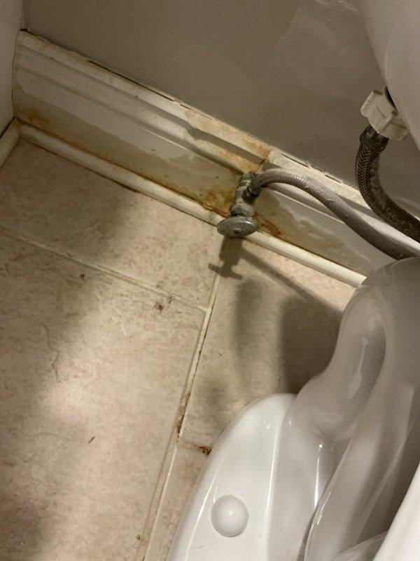 Responded to leak behind toilet with unknown source. Upon inspection, identified water damage and rust staining on baseboard and tile grout near toilet base, indicating chronic moisture issue. Traced leak to deteriorated supply line connection. Installed new braided stainless steel flexible supply lines with dual shut-off valves mounted on wooden backing board for improved access and future maintenance. Tested system under pressure to verify proper sealing and confirm leak resolution.