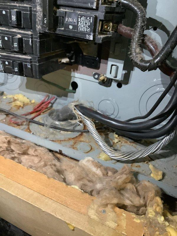 Responded to service call for intermittent power loss with circuits tripping under load. Accessed main electrical panel through wall cavity and diagnosed overloaded circuits causing breakers to trip when multiple appliances operated simultaneously. Inspected all breaker connections, identified loose wire terminations and improper circuit loading, then redistributed loads across available circuits and secured all connections to manufacturer specifications. Tested all circuits under load conditions to verify stable operation throughout the property.