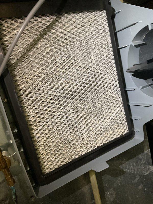 Completed MVP recurring cooling maintenance visit. Inspected and verified REME-HALO air purification system operational with UV light indicator illuminated and properly mounted in ductwork. Checked evaporative cooler pad showing normal wear with minimal dust accumulation and adequate airflow through mesh filter media.