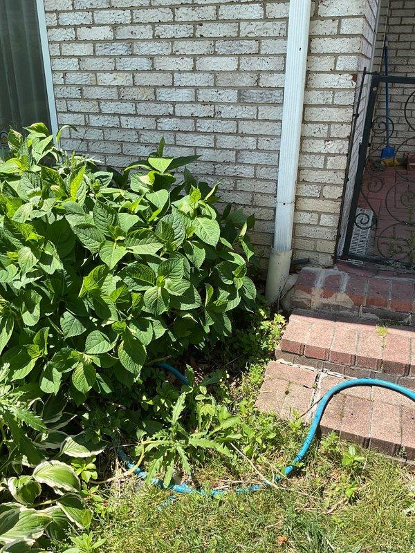 Responded to a clogged outdoor plumbing main line at a 52-year-old residential property requiring multiple service visits to fully resolve the drainage issue. Inspected and cleared the exterior drainage system, including downspout connections and underground piping at the building foundation. Successfully restored proper water flow through the main line after identifying and removing blockage in the corrugated drainage pipe system.