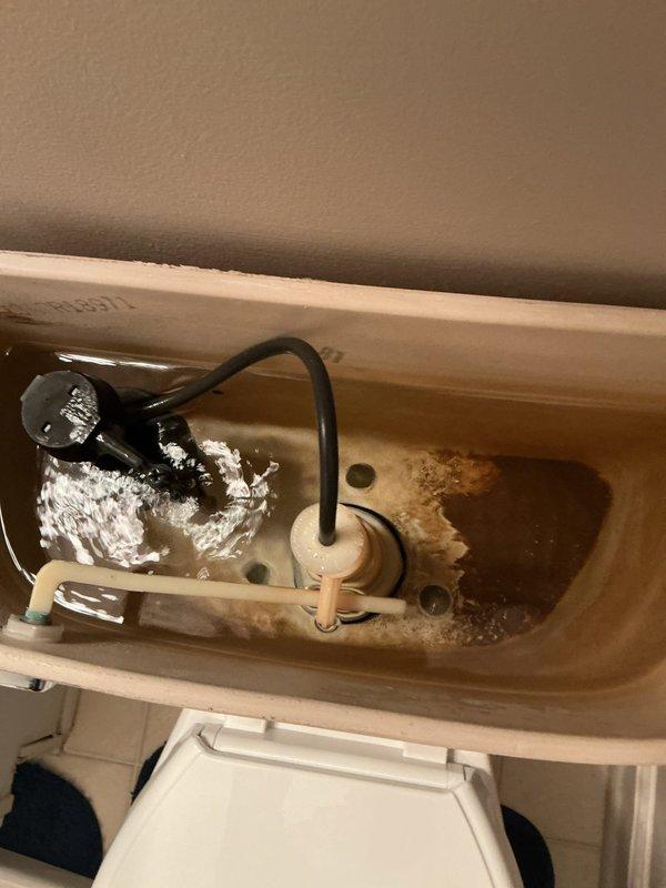 Responded to service call for two toilet issues in residence. Downstairs toilet exhibited continuous running condition due to faulty flapper valve assembly. Inspected tank components and found deteriorated flapper causing water to leak from tank into bowl, preventing fill valve from shutting off properly. Replaced flapper valve and adjusted chain length for proper seal. Tested flush cycle to confirm proper operation and water shut-off.

Upstairs toilet required wax ring replacement due to compromised seal at floor flange connection. Removed toilet from mounting bolts, scraped old wax ring residue from flange and toilet base, and installed new wax ring. Reset toilet onto flange, secured with mounting hardware, and reconnected water supply line. Verified seal integrity and tested for leaks. Both toilets restored to proper working condition.