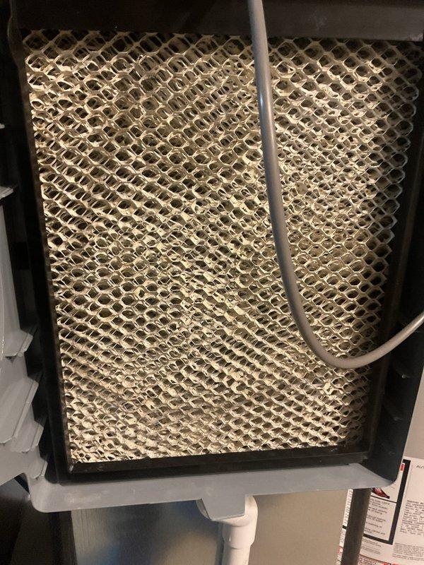Completed MVP cooling maintenance visit on a 2-year-old system. Inspected evaporator pad which showed significant mineral buildup and debris accumulation throughout the honeycomb mesh structure, indicating reduced airflow efficiency. Performed temperature and airflow diagnostics using digital instrumentation at the ductwork to verify system performance parameters and ensure proper cooling operation.