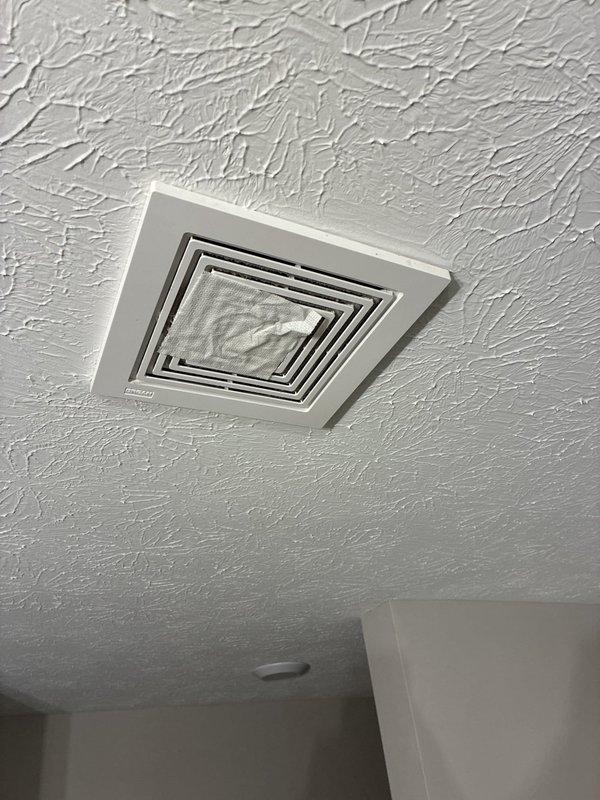 Replaced defective motor in Braun ceiling-mounted exhaust fan ventilation unit. Ordered replacement motor assembly, received parts, and completed installation of new motor in existing fan housing. Verified proper operation of ventilation system upon completion.