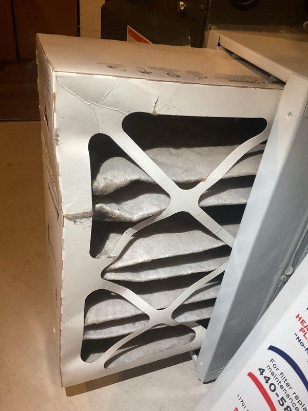 Completed MVP cooling maintenance visit on 6-year-old system. Inspected and documented furnace filter housing showing normal wear and accumulation, with filter requiring attention. Examined condensate drain line and identified rust-colored staining and residue buildup within PVC drainage components, indicating potential biological growth or sediment accumulation that could lead to drainage issues if left unaddressed.