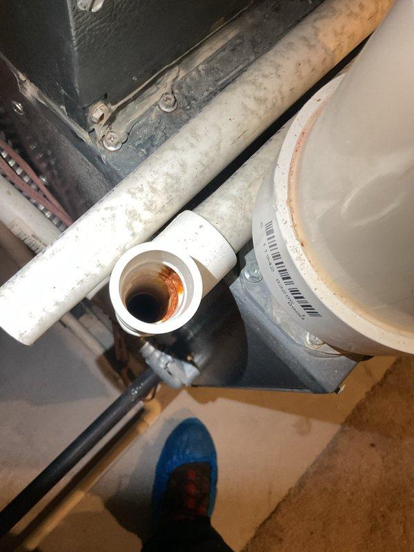 Completed MVP cooling maintenance visit on 6-year-old system. Inspected and documented furnace filter housing showing normal wear and accumulation, with filter requiring attention. Examined condensate drain line and identified rust-colored staining and residue buildup within PVC drainage components, indicating potential biological growth or sediment accumulation that could lead to drainage issues if left unaddressed.
