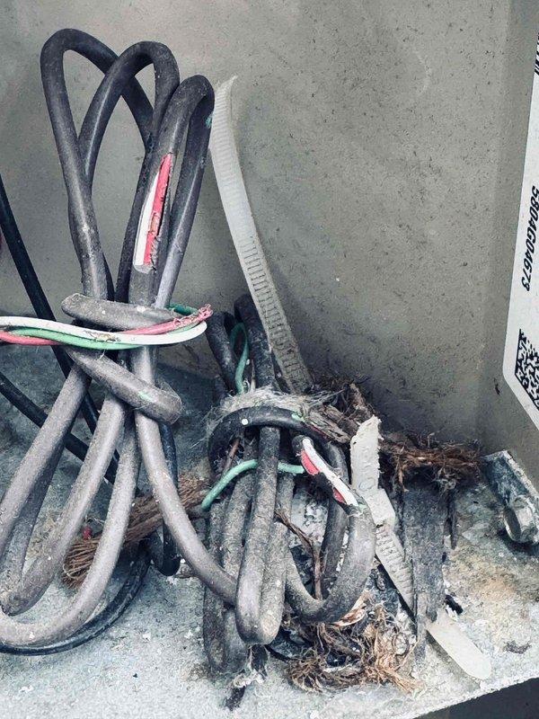 Performed comprehensive tune-up on 21-year-old air conditioning system. Inspected refrigerant line set penetration through exterior wall and verified proper insulation integrity on all three copper lines. Examined electrical connections at outdoor unit, noting accumulated debris and environmental exposure on wiring bundles; cleaned connection points and verified secure terminations to ensure safe operation for continued service.