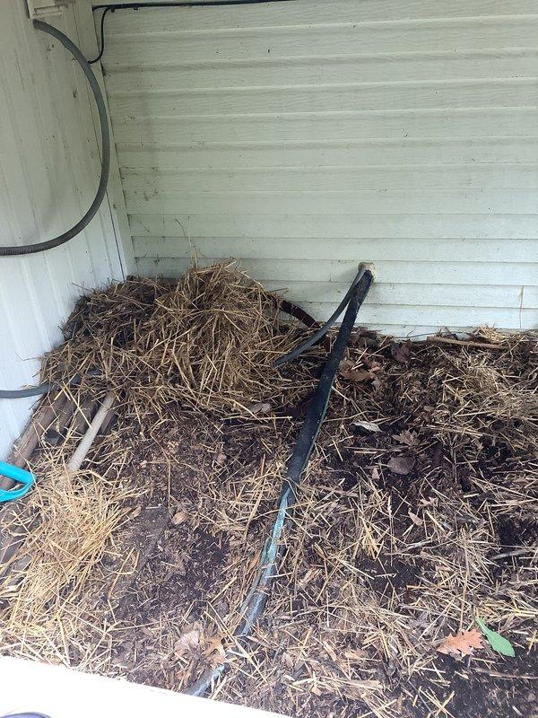 Conducted estimate for replacement of 27-year-old HVAC system including air conditioning unit with failed compressor and furnace. Assessed existing equipment located in residential utility room and documented conditions for complete system replacement quote.