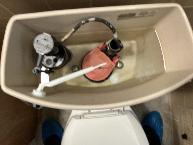 Responded to service call for non-functioning toilet with complete flush failure. Upon inspection, identified failed internal tank components including deteriorated flapper valve and malfunctioning fill valve assembly. Removed tank lid and assessed flush mechanism, noting compromised chain connection and improper water level management. Performed diagnostic evaluation of all tank hardware including overflow tube, flush valve seal, and float mechanism. Documented existing conditions showing mineral buildup and component wear. Completed system testing to verify operational issues and determined necessary repairs to restore proper flushing function.