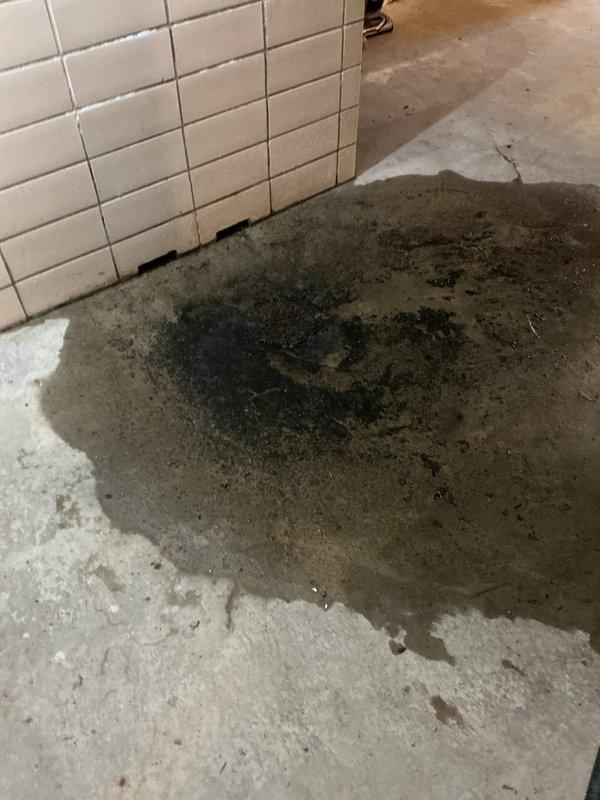 Responded to mainline backup issue and performed drain cleanout service. Upon arrival, located floor drain in basement utility area with visible standing water and drainage concerns. Cleared main drain line obstruction, restoring proper flow and drainage function. Tested system to confirm blockage was removed and drainage was operating normally.