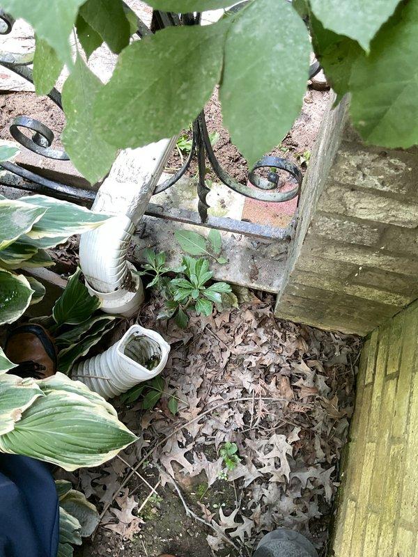Performed camera inspection of downspout drainage system to assess repair needs and provide quote. Documented existing conditions showing white corrugated drainage pipes, deteriorated wooden deck structure with algae growth, and scattered debris in landscaped area. Inspection revealed downspout discharge point near foundation with broken terra cotta fragments and compromised soil conditions requiring remediation recommendations.