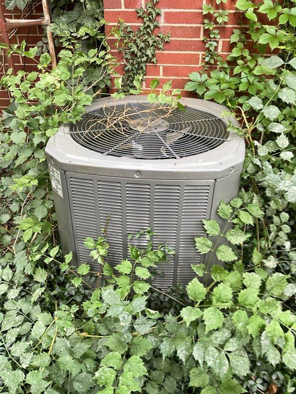 Responded to no-cooling complaint on residential AC system of unknown age. Upon inspection, found failed contactor preventing compressor and condenser fan operation. Outdoor unit was significantly overgrown with vegetation restricting airflow through condenser coils. Replaced defective contactor, cleared vegetation from around unit perimeter and top fan grill, and cleaned condenser coils to restore proper airflow and heat transfer. System tested and confirmed operational with normal amperage draw and temperature differential.