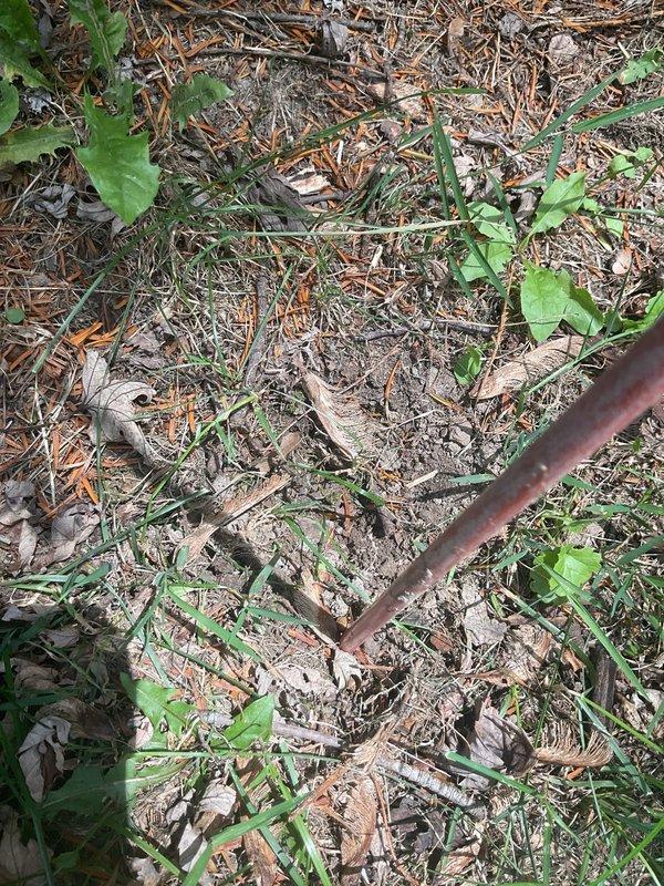 Returned to site to complete proper installation of grounding system. Installed ground rods to required depth per electrical code specifications. Connected and secured grounding wire to establish proper electrical ground path for the service. Verified all grounding components were properly bonded and met code requirements. Work completed as specified.