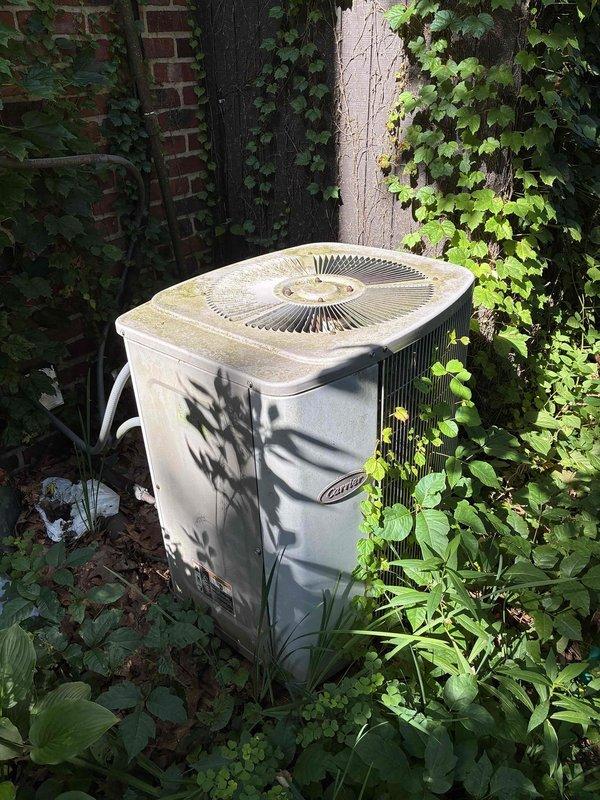Performed maintenance inspection on 27-year-old Carrier outdoor condensing unit. Unit showed significant age-related wear with weathered housing, dirt accumulation on fan grille, and vegetation growth around base perimeter. Accessed electrical compartment and inspected internal wiring, connections, and components including capacitor and motor assembly. All electrical connections were verified secure at terminal blocks. Unit remains operational despite advanced age, though replacement should be considered due to system age exceeding typical service life expectancy.