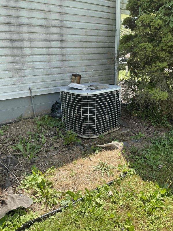 Completed comprehensive assessment of existing HVAC system for replacement estimate at residential property. Evaluated aging outdoor air conditioning condenser unit with cylindrical design and black wire mesh grille, showing over 10 years of service life with signs of weathering and vegetation encroachment around base. Inspected indoor furnace unit located in basement mechanical room, noting rust staining on exterior surfaces and evidence of previous moisture issues in surrounding area. Documented current system configuration including water heater, dehumidifier, and associated ductwork and piping. Photographed all equipment and conditions to support replacement recommendations for new AC system installation.