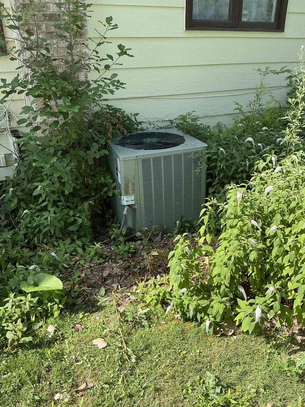 Conducted comprehensive assessment of existing HVAC system for complete replacement estimate. Evaluated outdoor condensing unit showing age-related wear with overgrown vegetation impeding proper airflow and clearance requirements. Inspected indoor air handler and ductwork system in basement mechanical space, documenting current equipment configuration and connections. Photographed both exterior and interior components to provide detailed documentation for replacement system sizing and installation planning.