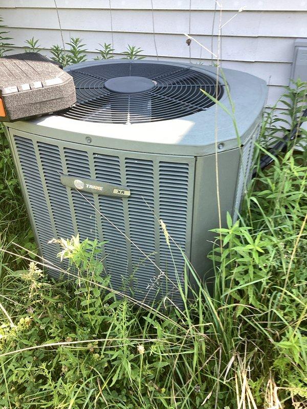 Performed commercial cooling equipment estimate for Trane XR condenser unit with significant vegetation overgrowth restricting airflow around the equipment. Documented existing system condition including internal refrigerant line components and cabinet assembly, noting maintenance access requirements and clearance issues that will need addressing for optimal unit performance and code compliance.
