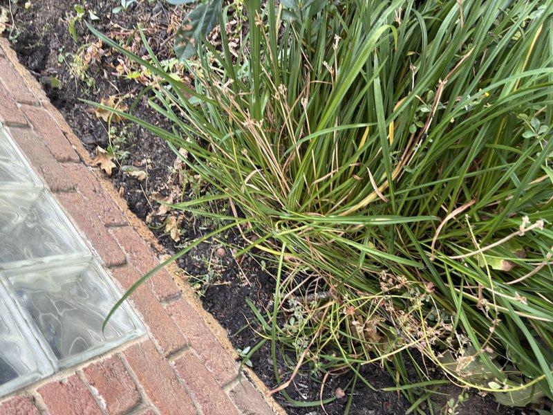 Responded to callback for improperly buried ground wire at exterior electrical service installation. Previous technicians had installed ground wire below grade, but wire had since become exposed above ground level. Properly buried ground wire according to NEC requirements to protect conductor from physical damage and ensure code compliance. Verified all exterior electrical connections at meter panel and associated conduit runs remained secure and weatherproof upon completion of burial work.