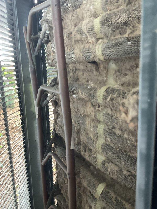 Completed comprehensive tune-up on 13-year-old air conditioning system with heavily soiled evaporator coils showing significant dust, lint, and debris accumulation restricting airflow. Performed standard maintenance protocol including system inspection, cleaning, and operational testing of dual outdoor condenser units, and provided complimentary carbon monoxide detector installation.