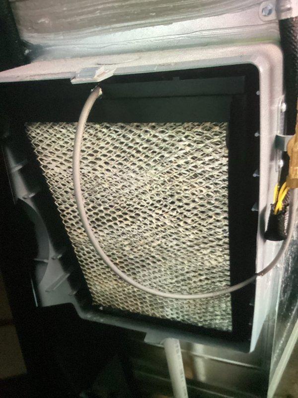 Completed annual AC tune-up on 4-year-old system. Inspected and photographed evaporator coil assembly showing mineral deposit accumulation on humidifier pad, and verified blower wheel condition which appeared clean with proper operational integrity. All components functional with no immediate service needs identified.