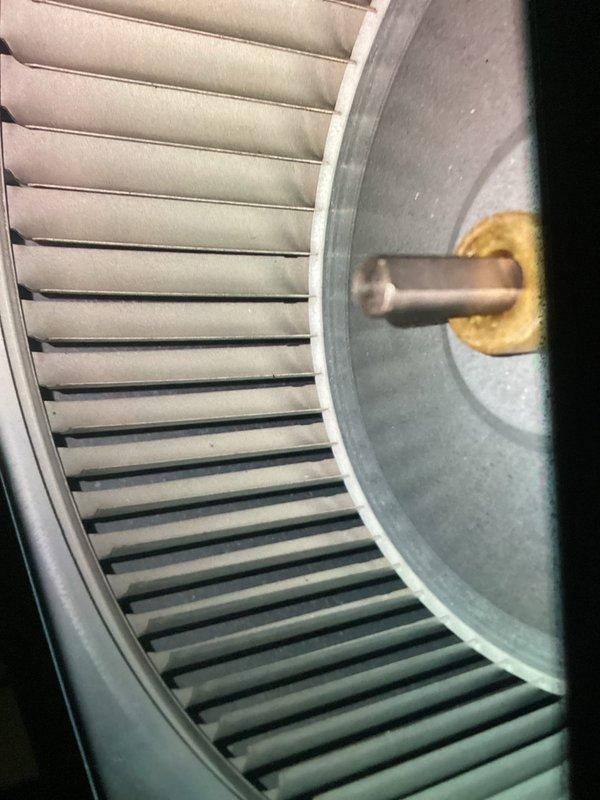 Completed annual AC tune-up on 4-year-old system. Inspected and photographed evaporator coil assembly showing mineral deposit accumulation on humidifier pad, and verified blower wheel condition which appeared clean with proper operational integrity. All components functional with no immediate service needs identified.