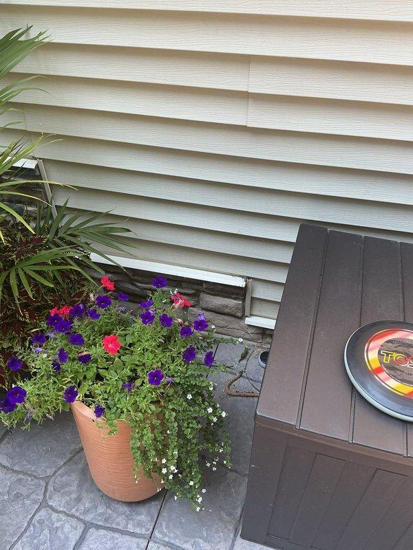 Installed outdoor electrical outlets for walkway lighting system. Completed exterior receptacle installation to accommodate planned pathway illumination, providing power source for future landscape lighting fixtures. Discussed lighting options and configurations with property owner for outdoor walkway enhancement.