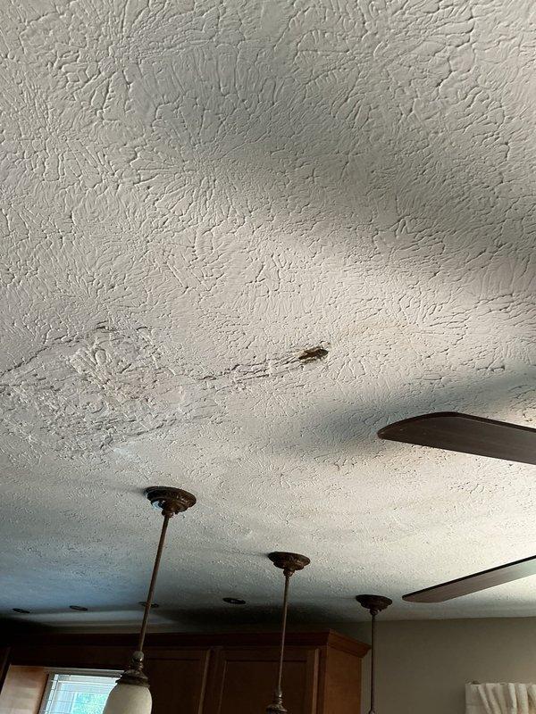 Responded to emergency call for blocked drain causing water infiltration through flooring in 49-year-old residential property. Upon arrival, conducted comprehensive assessment of plumbing system to identify source of blockage and water damage. Inspected ceiling area revealing water staining and potential structural concerns from drainage backup. 

Performed drain clearing procedures using professional-grade equipment to remove obstruction from main drainage line. Verified proper water flow and drainage functionality in shower stall and connected fixtures. Tested system under normal operating conditions to ensure blockage was completely eliminated and no residual flow restrictions remained.

Confirmed all drainage systems returned to normal operation with no further water seepage or backup occurring. Documented conditions with photographic evidence showing affected ceiling area and cleared shower drain system for customer records.