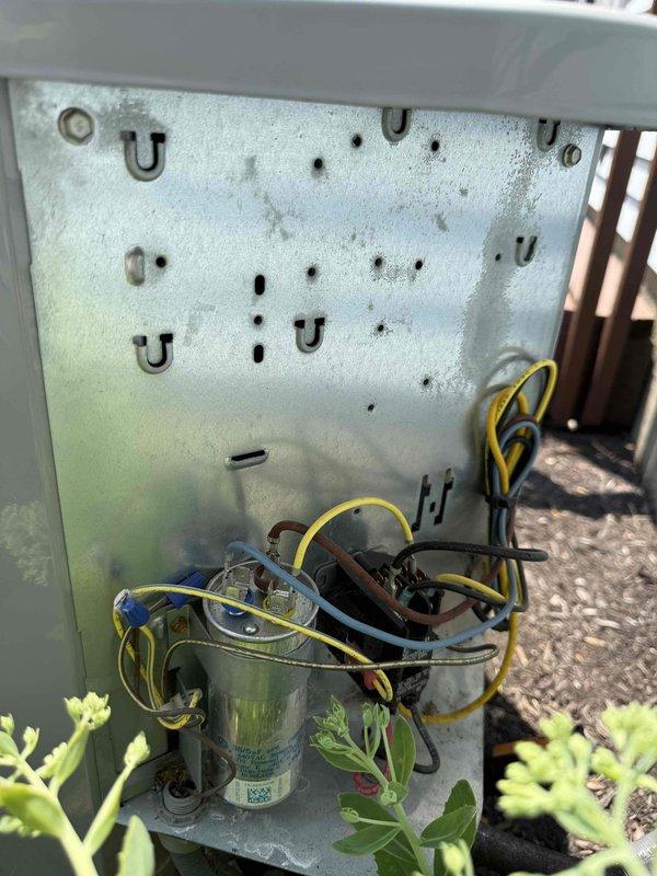 Completed MVP Cooling Visit performing routine maintenance inspection on outdoor HVAC unit. Inspected electrical components including capacitor and wiring connections within the unit compartment, documented equipment condition with exterior surge protection device and DiversiTech electrical box installation showing normal wear patterns consistent with outdoor exposure.