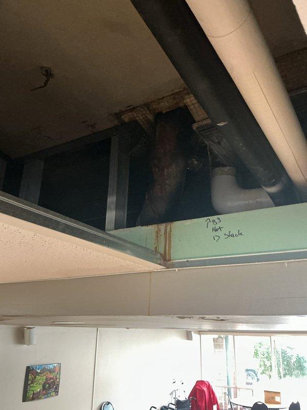 Responded to report of leaking cast-iron piping in common area ceiling cavity. Accessed ceiling space and inspected 42-year-old vertical stack system showing signs of deterioration and active water intrusion. Documented conditions of exposed piping, ductwork, and mechanical components in overhead chase, noting corrosion patterns consistent with age-related failure of cast-iron plumbing infrastructure. Photographed affected areas including stack identification markings and surrounding HVAC equipment for further assessment and repair planning.